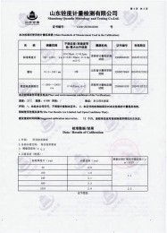 检测仪器报告证书：涂层测厚仪
